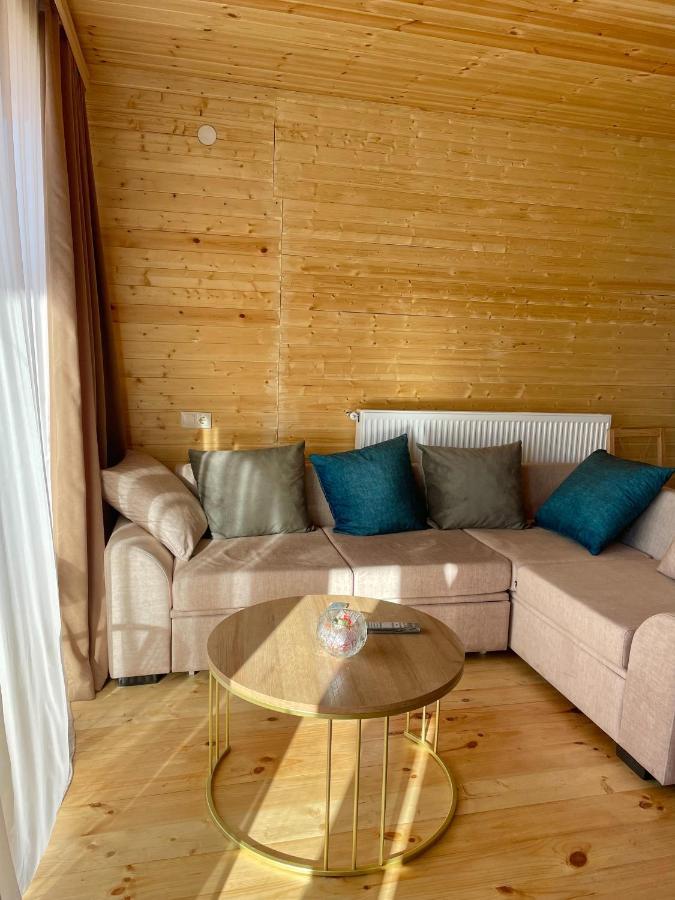 Twin Cottages Kazbegi מראה חיצוני תמונה